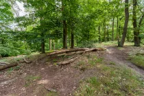 Privater Wald mit Zugang zum Katharinenholz