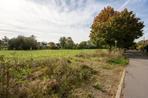 Green meadow opposite the property