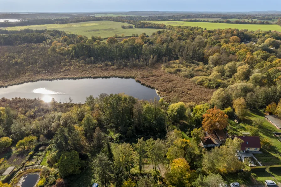 Impressionen aus der naturbelassenen Umgebung