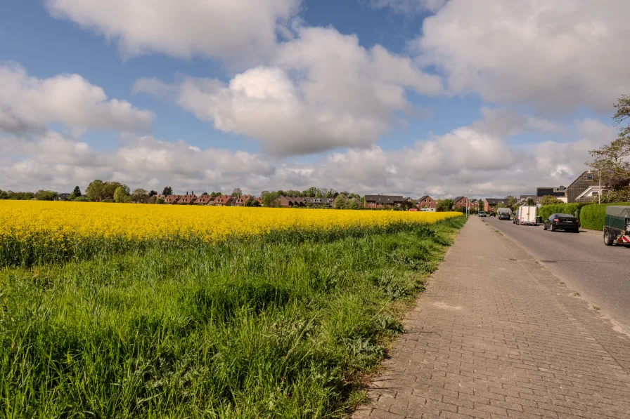 Straßenzug entlang der Felder "Die schmalen Enden"