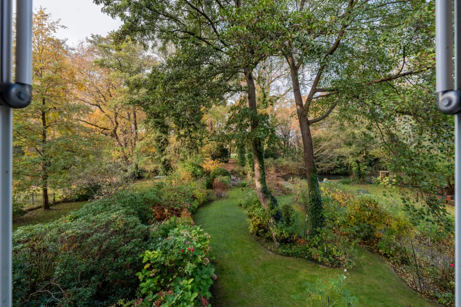 View of the garden