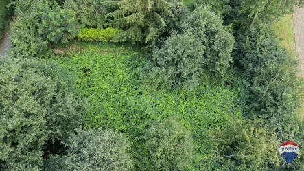 Remax 1 - Grundstück kaufen in Goch - Waldgrundstück mit Blick über die Felder