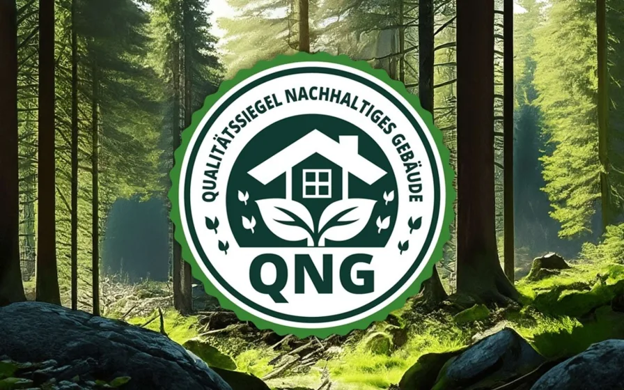 QNG Logo