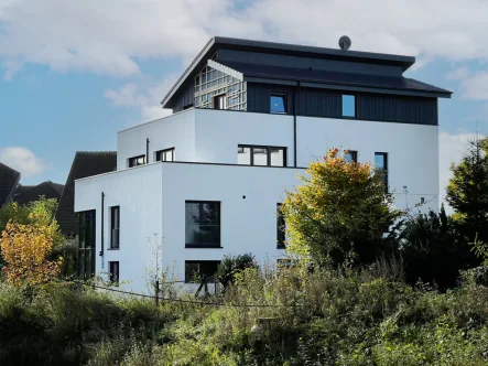 Seitenansicht  - Wohnung kaufen in Bad Iburg - Exklusive Neubauwohnung mit hochwertiger Ausstattung und umlaufender Dachterrasse - KfW 40 Förderung