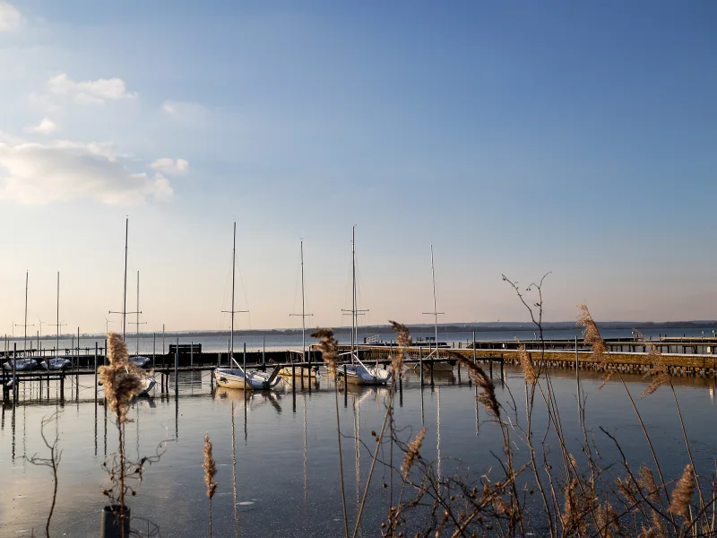 Impressionen Dümmer See