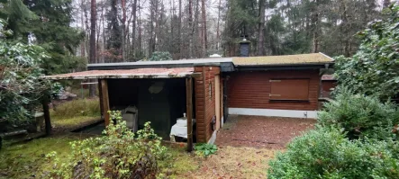 Terrassenseite - Grundstück kaufen in Buchholz - Für Individualisten die es lieben ihre Freizeit im Wald zu verbringen.