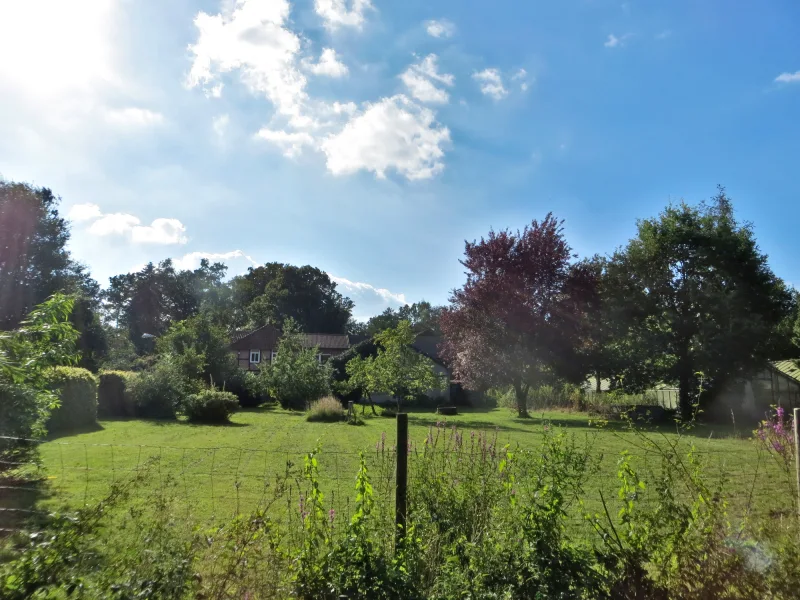 Garten mit Blick zum Haus