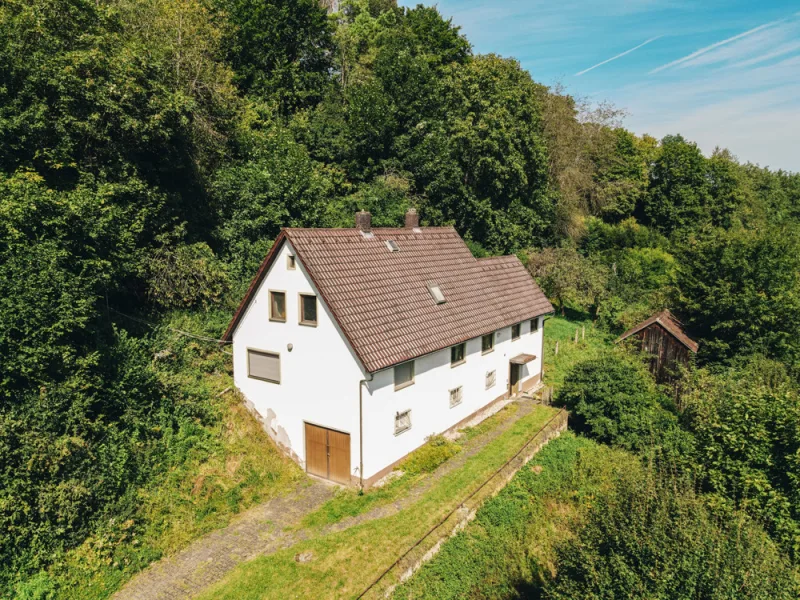 1 - Haus kaufen in Beratzhausen - Ein Paradies für Naturliebhaber!Großes Grundstück mit reichlich Potential!