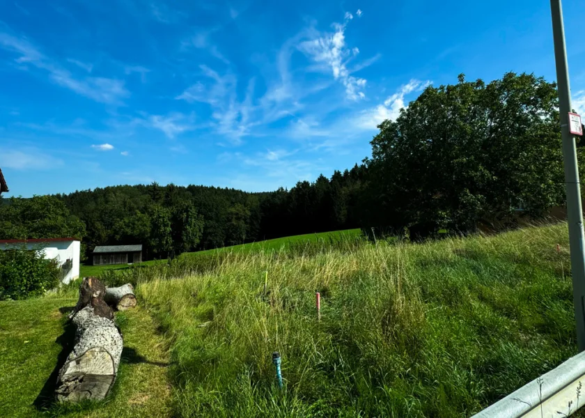 Ihr Grundstück - Grundstück kaufen in Wenzenbach - Unverbaubarer Blick ins Grüne! Traumgrundstück in Wenzenbach