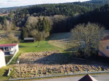 Ihr Blick  - Grundstück kaufen in Wenzenbach - Unverbaubarer Blick ins Grüne! Traumgrundstück in Wenzenbach