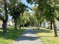 Allee (50m entfernt)