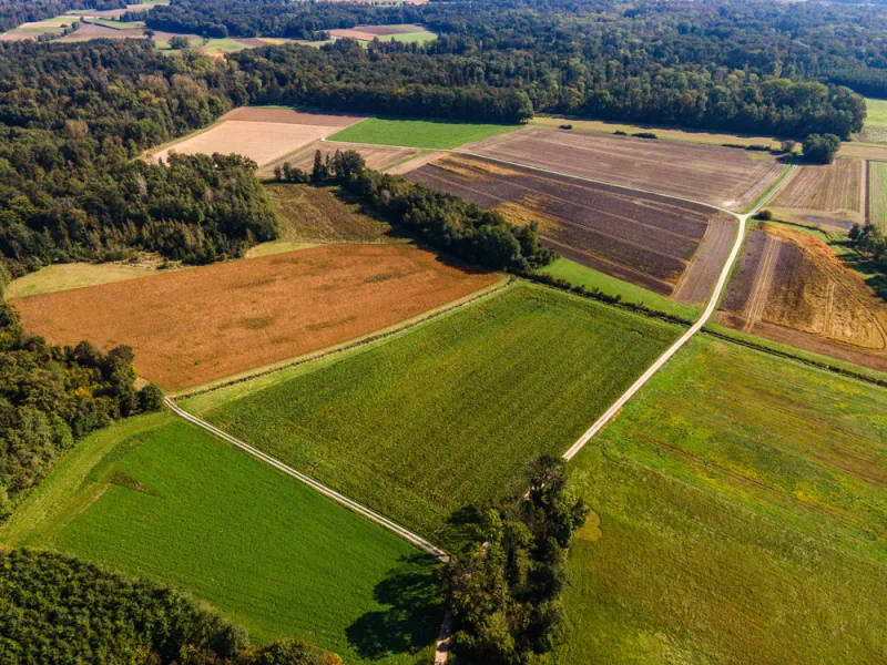 Fläche 2 - Grundstück kaufen in Dengling - Exklusives Angebot: landwirtschaftliche Flächen