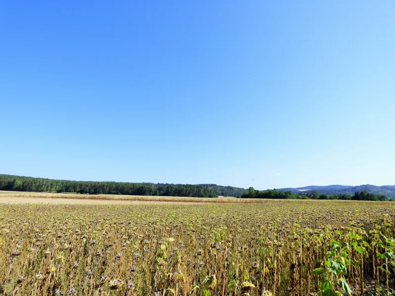 In Ihrer Nachbarschaft