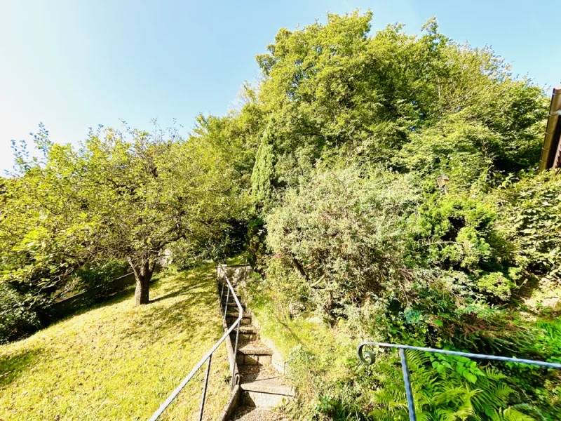 Der Garten im Süden Ihres Hauses