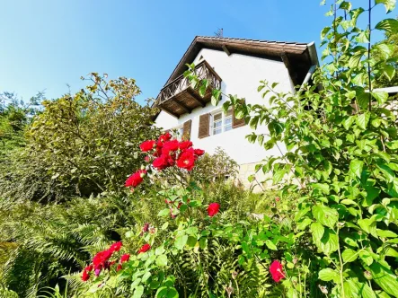 Ihr Haus von Osten - Haus kaufen in Lappersdorf - Charme & Charakter!