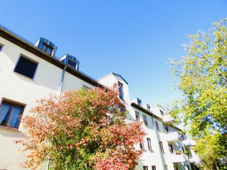 Ihr Haus von Süd-Osten - Wohnung kaufen in Regensburg - Altstadtnah! Grün! Ruhig!