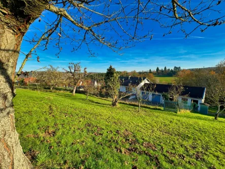 Blick über Ihr Anwesen - Grundstück kaufen in Wenzenbach - THINK BIG!