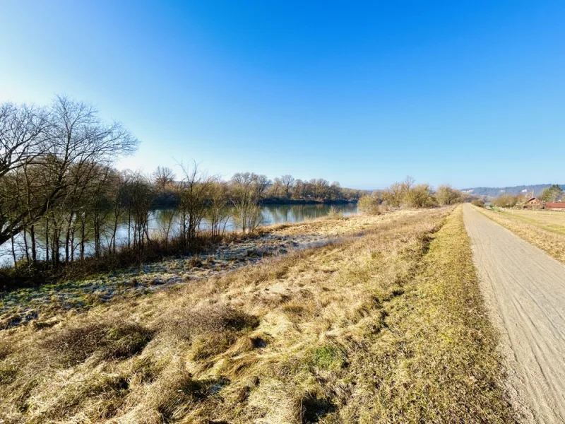 An der Donau gen Regensburg