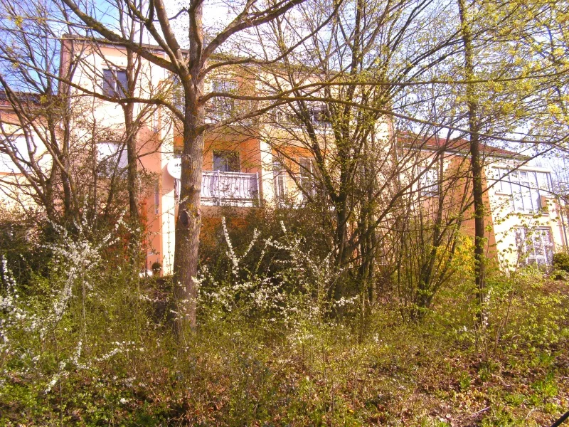 Wohnanlage - Wohnung mieten in Bad Abbach - Bad Abbach: attraktive 1-Zi-Whg mit Balkon und EBK