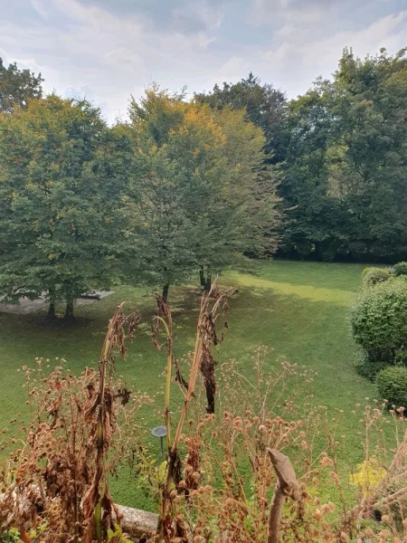 Blick vom Balkon  