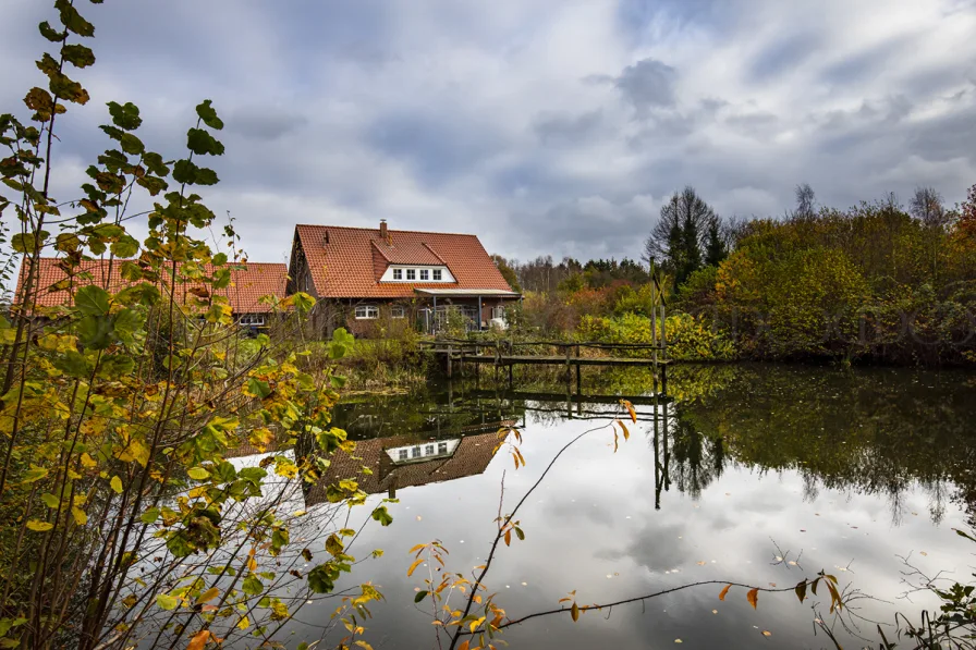 Blick über den Teich