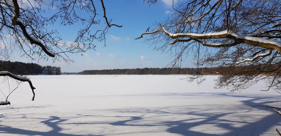 Winterimpression von der Dahme / Langer See