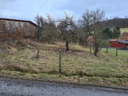 Front - Grundstück kaufen in Hessisch Lichtenau - Baugrundstück in ruhiger Lage von Hessisch-Lichtenau OT Retterode