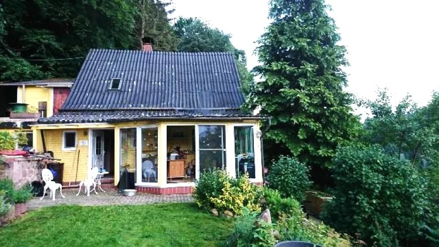 Gartenansicht - Haus kaufen in Knüllwald - Wohnen mitten im Wald - Knüllwald-Wallenstein