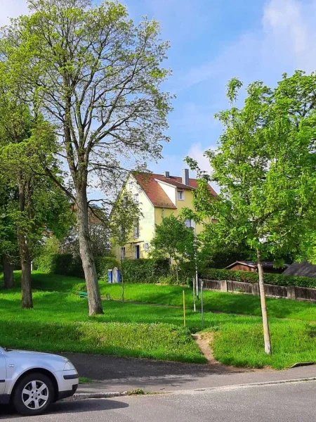 Parkansicht Sommer - Haus kaufen in Amberg - Bereits energetisch saniert: Wohnhaus mit Einlieger-/Ferienwohnung