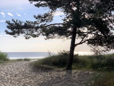 Strandzugang Peenemünde - Wohnung kaufen in Peenemünde - Ihre neues Zuhause in Peenemünde, Bezugsfrei !