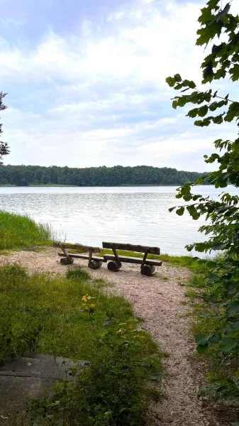 direkt am See  - Grundstück kaufen in Seddiner See - Wassergrundstück am Großen Seddiner See