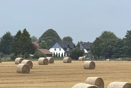 Ansicht vom Feld  - Haus kaufen in Dargen - Ihr (Ferien) Haus auf der Ostseeinsel Usedom - frisch saniert und bezugsfertig