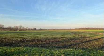 Ansicht 1 - Land- und Forstwirtschaft kaufen in Ringe - Ackerfläche in Großringe zu verkaufen