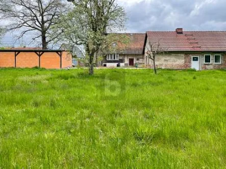  - Haus kaufen in Falkenberg/Elster - WOHNEN & ARBEITEN  AUF DEM LAND