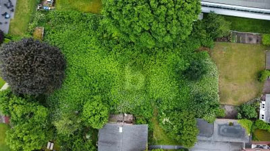  - Grundstück kaufen in Gütersloh - SELTENE GRÜNE OASE IN BESTLAGE