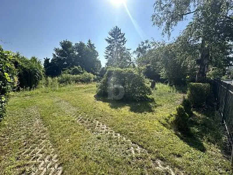  - Grundstück kaufen in Falkensee - SONNIGES IDYLL IN STADTNÄHE