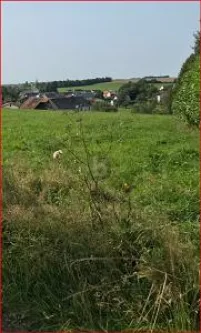  - Grundstück kaufen in Seinsfeld - ZUM BEBAUEN ODER FÜR DIE TIERHALTUNG