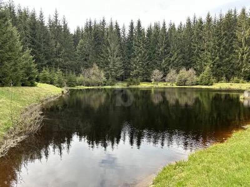  - Haus kaufen in Marienberg -  VIEL PLATZ IN LANDSCHAFTLICH BESTER LAGE