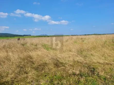  - Grundstück kaufen in Großlittgen - IHR WEG ZUM EIGENHEIM IN IDYLLISCHER EIFFELLAGE