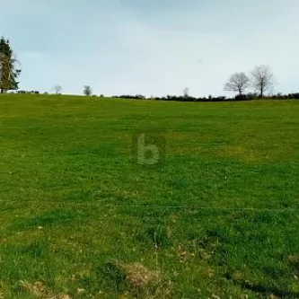  - Grundstück kaufen in Burbach - BAUEN AUF ERWEITERBARER FLÄCHE