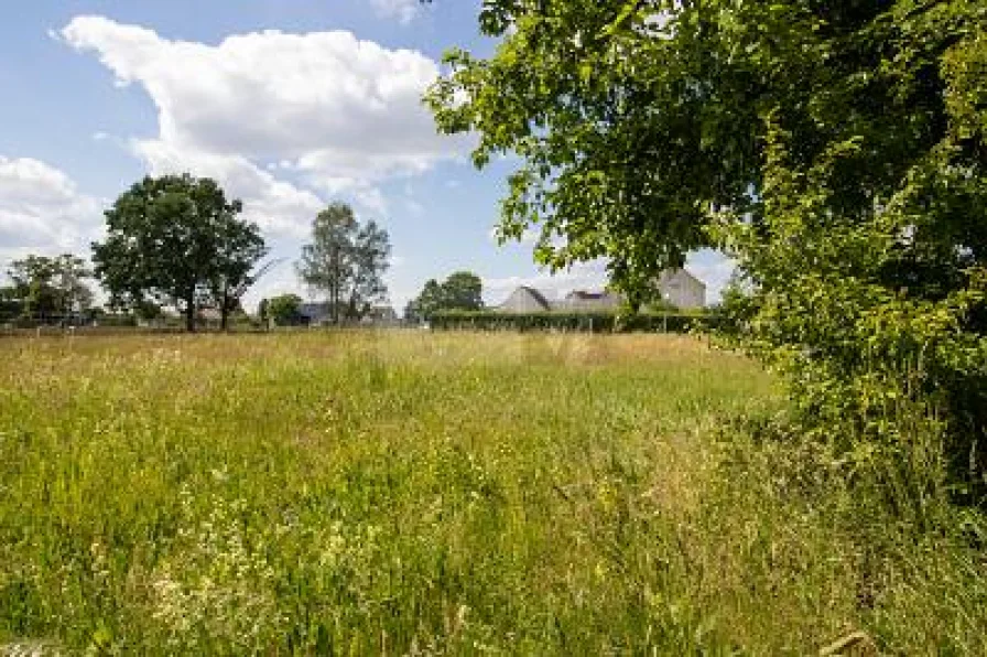  - Grundstück kaufen in Annaburg - IHR TRAUM IN ZAUBERHAFTER WALDRANDLAGE 