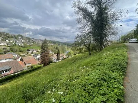  - Grundstück kaufen in Lörrach - GRUNDSTÜCK IN BESTER AUSSICHTSLAGE