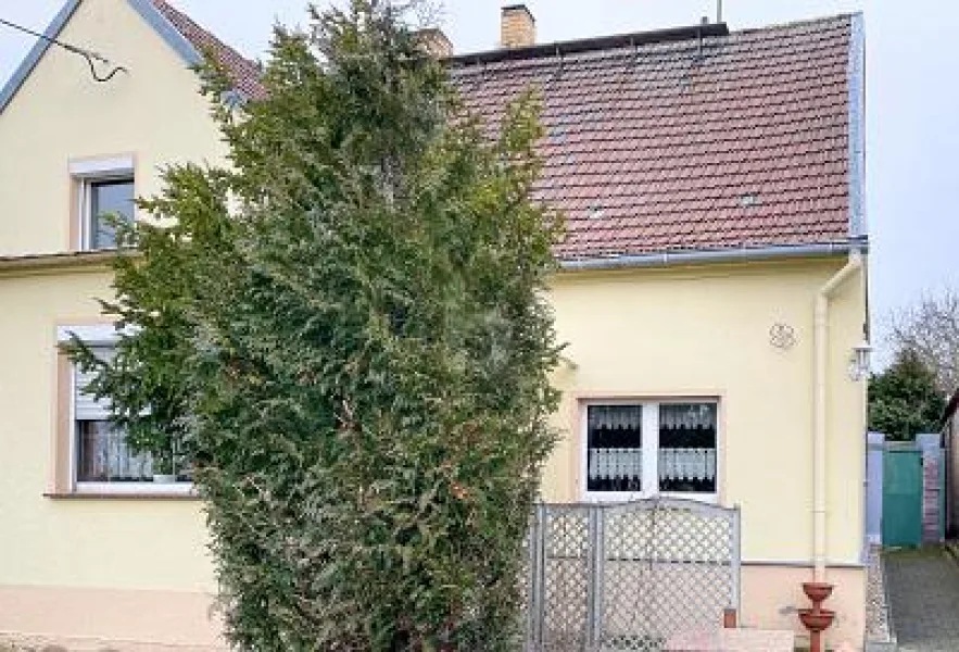  - Haus kaufen in Beilrode - VIEL PLATZ MIT GARTEN