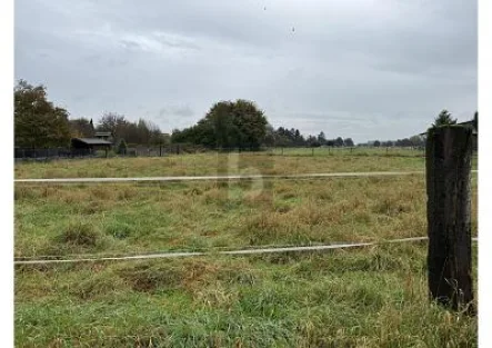  - Grundstück kaufen in Mönchengladbach - VIEL PLATZ FÜR IHREN TRAUM