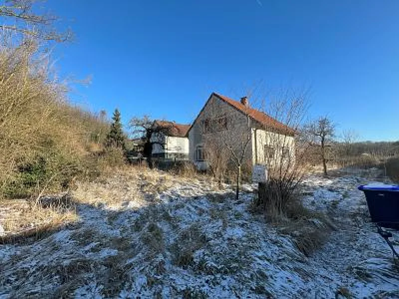  - Grundstück kaufen in Detmold - TRAUMHAFT: VEREINT MIT NATUR, RUHE UND KULTUR