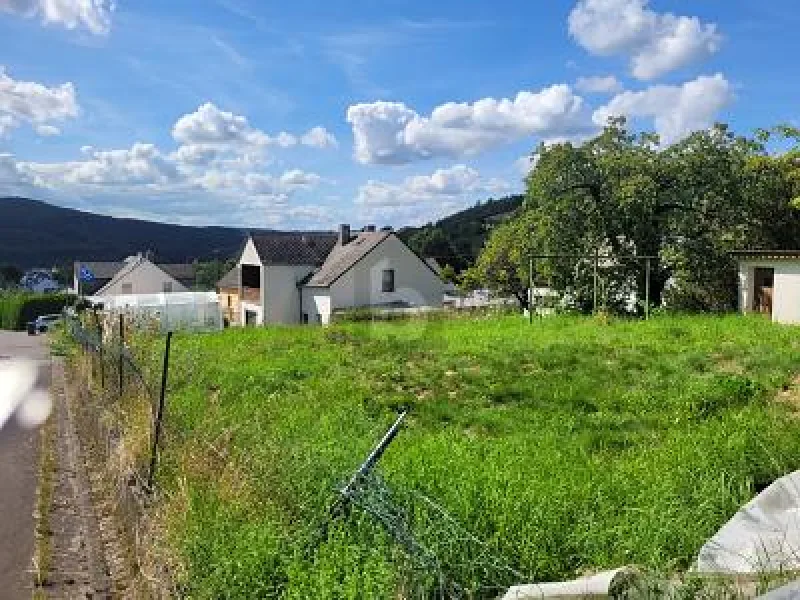  - Grundstück kaufen in Mertesdorf - IHR EIGENHEIM OHNE HANGLAGE