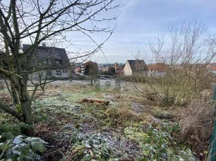  - Grundstück kaufen in Seesen - ERSCHLOSSENES BAUGRUNDSTÜCK IN HANGLAGE