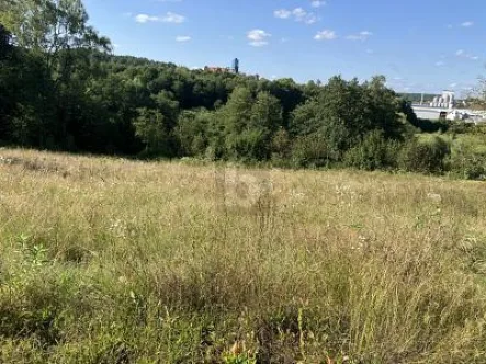  - Grundstück kaufen in Neuhaus an der Pegnitz - MIT BLICK ZUR BURG VELDENSTEIN