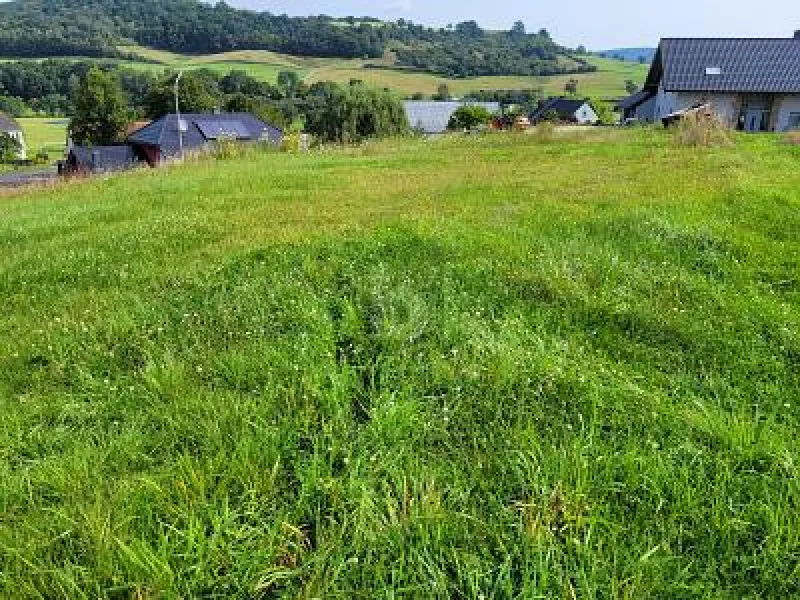  - Grundstück kaufen in Schankweiler - ERSTBEBAUUNG IM NEUBAUGEBIET