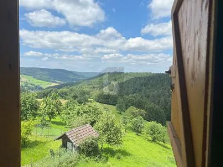  - Haus kaufen in Schuttertal - UNVERBAUBARE LAGE, VIELFÄLTIGE NUTZUNG